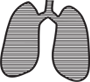 Lungs